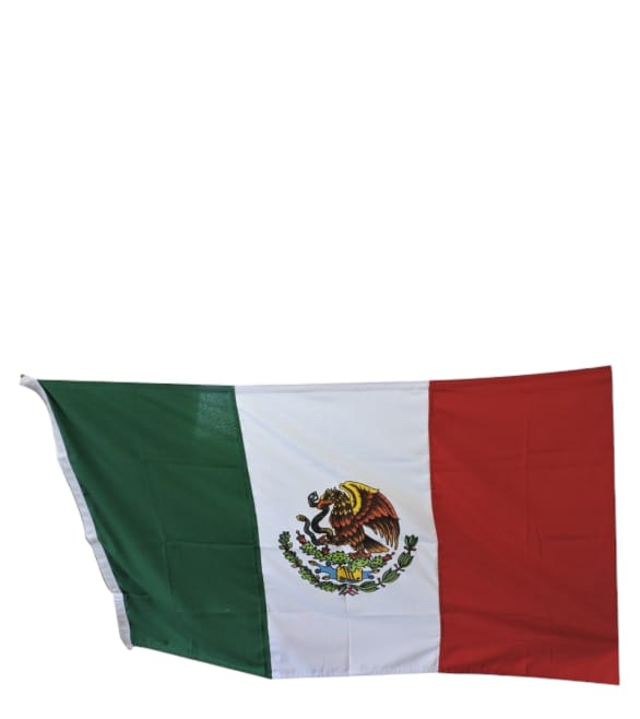 Bandera para exterior (etamina)