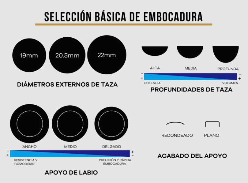 Zebra Edición Especial